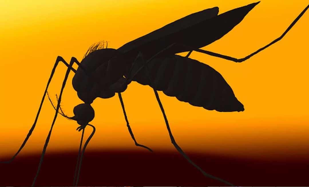 Com quase 3 mil casos prováveis de Dengue, MS anuncia força-tarefa e monitoramento no Acre